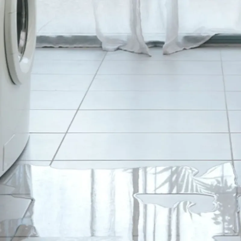 Appliance Leak Cleanup in Gold River, CA