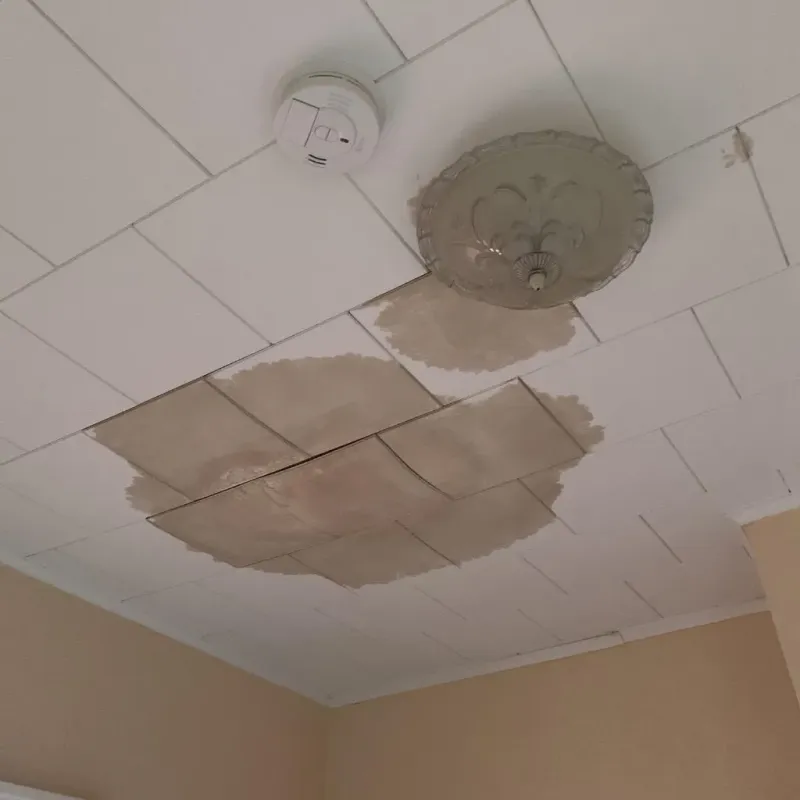 Ceiling Water Damage Repair in Gold River, CA